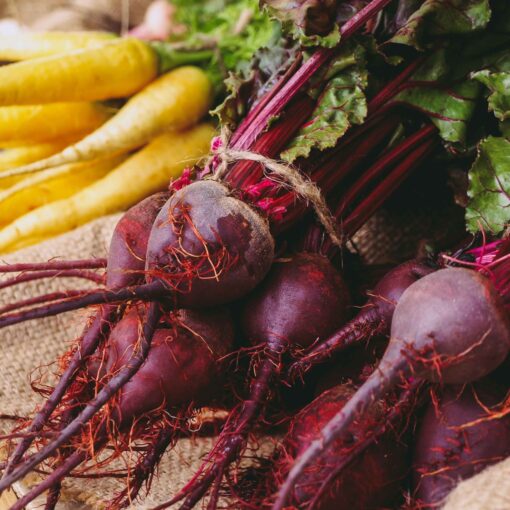 Detox and Boost Energy with Beet Root Extract Superfood