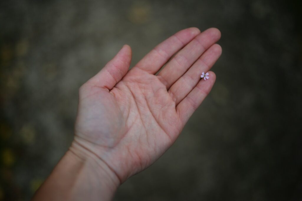 a person's hand holding a tiny diamond ring