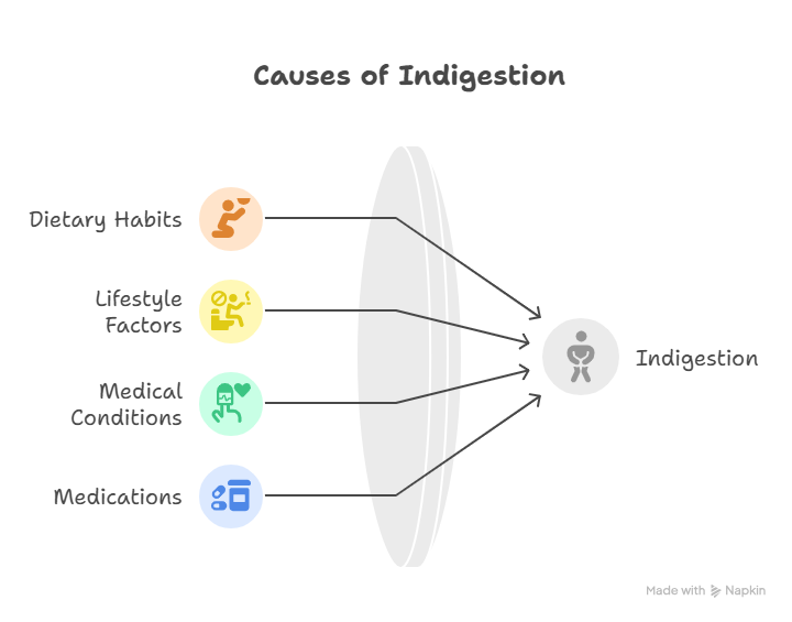 Infographic for Understanding Indigestion
