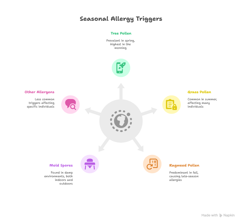 Infographic of Seasonal Allergy Triggers